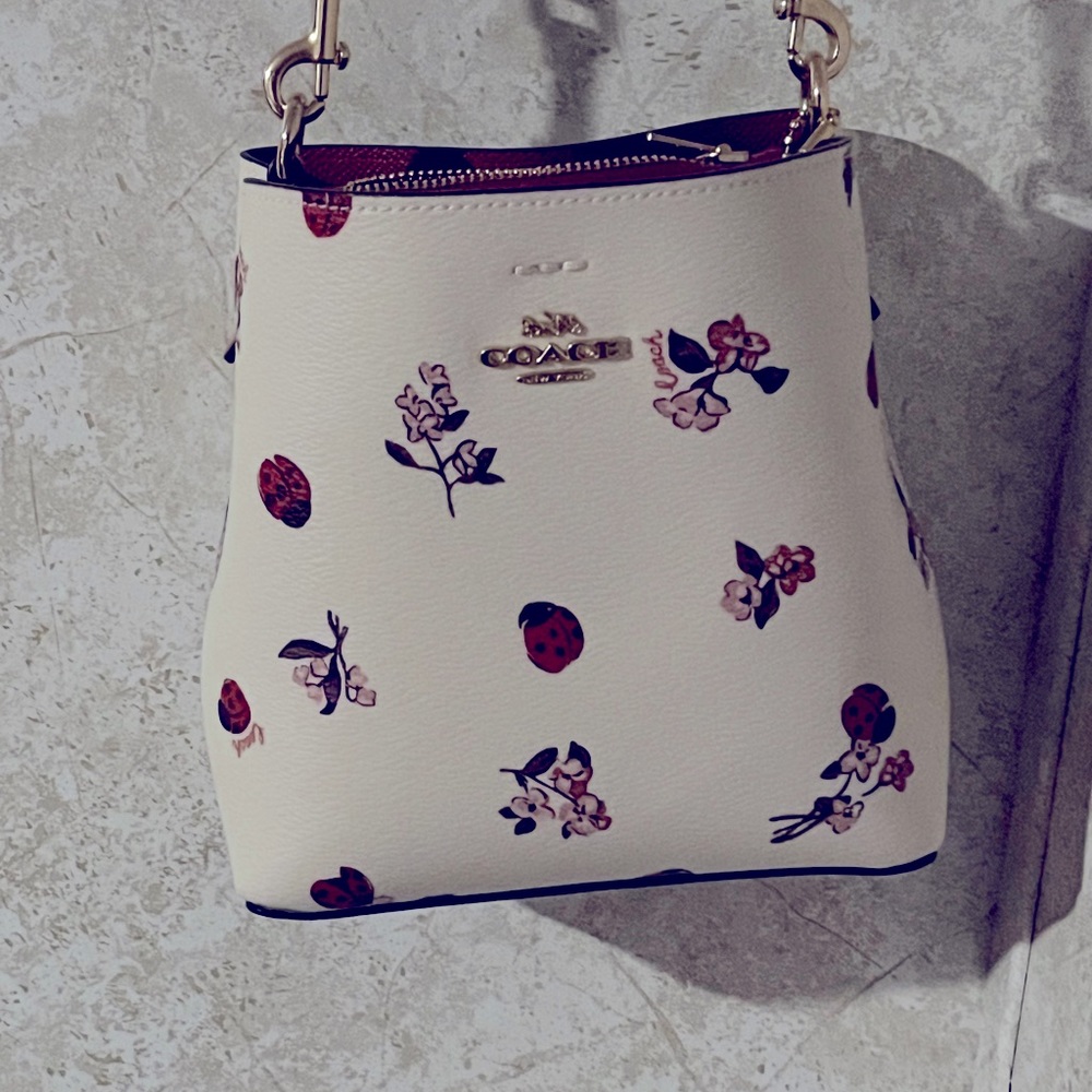 Rare COACH lady bug bucket bag